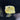 Cubics Boxfish