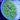 WYSIWYG - Green Flecked RFA