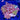 WYSIWYG - 9pc Zoa Plate