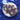 WYSIWYG - Scrambled Egg Zoa