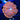 WYSIWYG - Sunstone Rhodactis