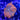 WYSIWYG - Forest Fire Rhodactis