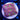 WYSIWYG - Flaming Phoenix Platygyra