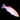 WYSIWYG - Koi Fairy Wrasse