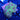 WYSIWYG - Ultra Blood Moss Rhodactis