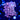 WYSIWYG - Nirvana "Type" Zoa