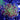 WYSIWYG - Neon Yellow Octospawn