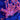 WYSIWYG - Pink Goniopora #2