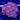 WYSIWYG - Magicians Zoa Colony