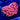 WYSIWYG - Bright Red Goniopora