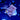 WYSIWYG - Jasmine Polyps | Value Sized