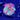 WYSIWYG - Rainbow Emerald "Favia"