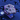WYSIWYG - Green Rhodactis | Value Size