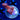 WYSIWYG - Bubblegum M. Digitata