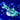 WYSIWYG - Lettuce Pavona #2 | Value Sized