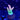 WYSIWYG - Stargazer Acropora