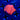 WYSIWYG - Bright Red Discosoma 2pp