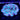 WYSIWYG - Rainbow Crystal Trachy
