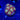 WYSIWYG - WWC Bob Marley Zoa
