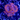 WYSIWYG - Rainbow "Acan"