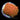 ECC Citrus Orange Short Polyp Goniopora