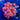 WYSIWYG - Bright Red Goniopora