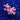 WYSIWYG - TNT Anacropora