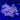 WYSIWYG - Jasmine Polyps