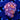 WYSIWYG - Combo Zoa Bozo/Pinkie Pie/BamBam