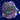 WYSIWYG- Zoa Garden 8+ Types #2