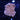 WYSIWYG - JF Slow Burn Montipora