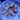 WYSIWYG - White Skirt RFA