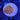WYSIWYG - Short Polyp Rainbow Goni #1
