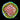 ECC Rainbow Splash Cyphastrea