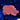 Red Montipora Capricornis - Value Sized