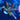 WYSIWYG - Rainbow Acropora
