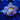 WYSIWYG - Combo Zoa (Nirvana/King Midas)