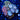 Zoanthid Garden 4 Types