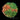 LC Circuit Breaker Cyphastrea