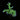 ORA MIMF Nuclear Green Elkhorn