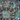 ORA Blue Lagoon Acan