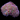 ORA MIMF Green Hairy Mushroom
