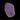 ORA MIMF Purple and Yellow Scroll Turbinaria