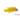 Captive Bred Yellow Assessor