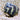 Zebra Turbo Snail