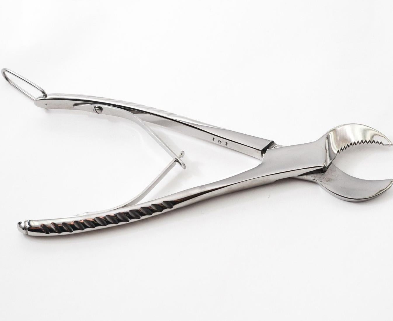 Natalia's Coral Cutting Tool – Barrier Reef Aquariums